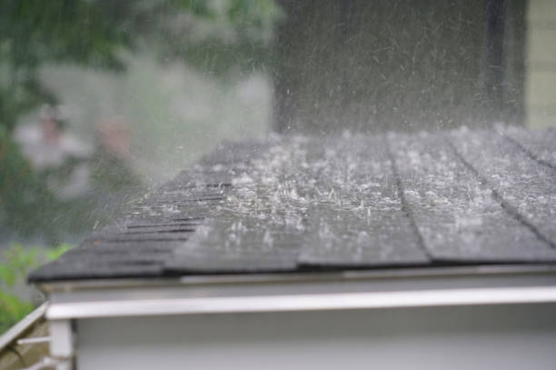 Best Flat Roofing  in Federal Y, WA