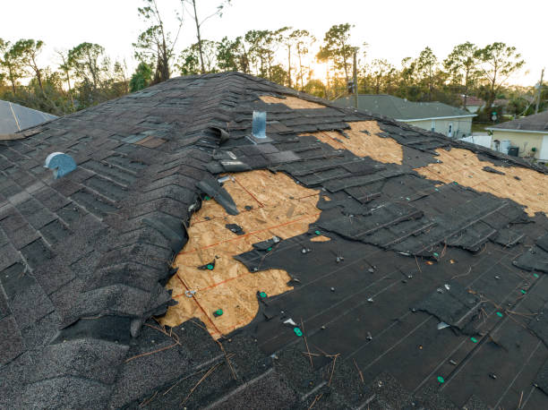 Best Commercial Roofing Services  in Federal Y, WA