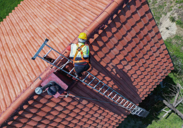Best Emergency Roof Repair Services  in Federal Y, WA