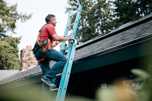 Best Roof Maintenance and Cleaning  in Federal Y, WA