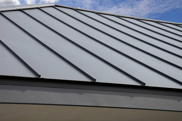 Best Gutter Installation and Repair  in Federal Y, WA